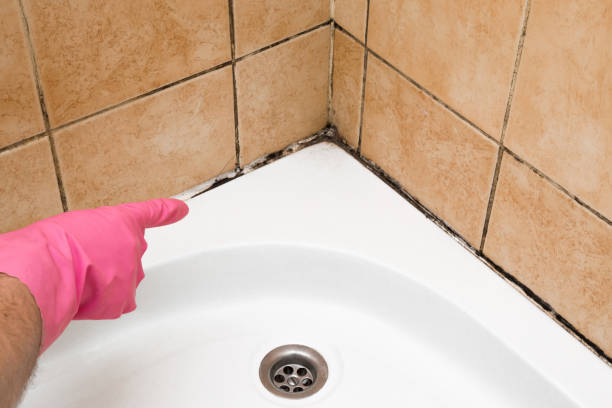 Best Preventive Mold Services in Matthews, NC